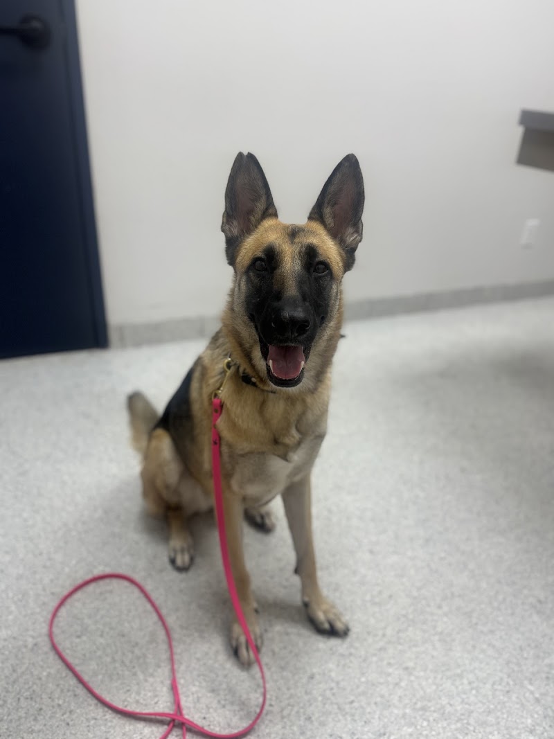 Neartown Animal Clinic