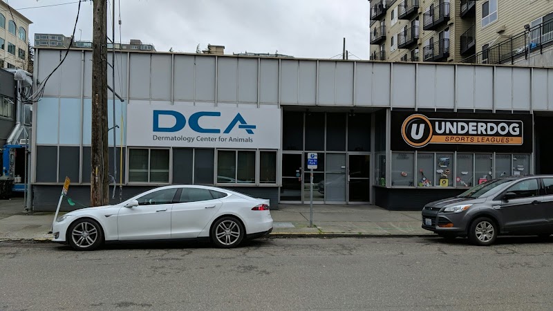 Dermatology Center for Animals