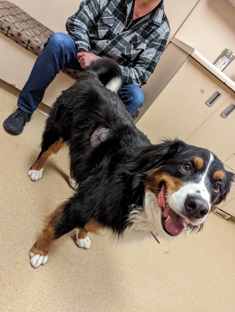 Pet Crossing Animal Hospital & Dental Clinic