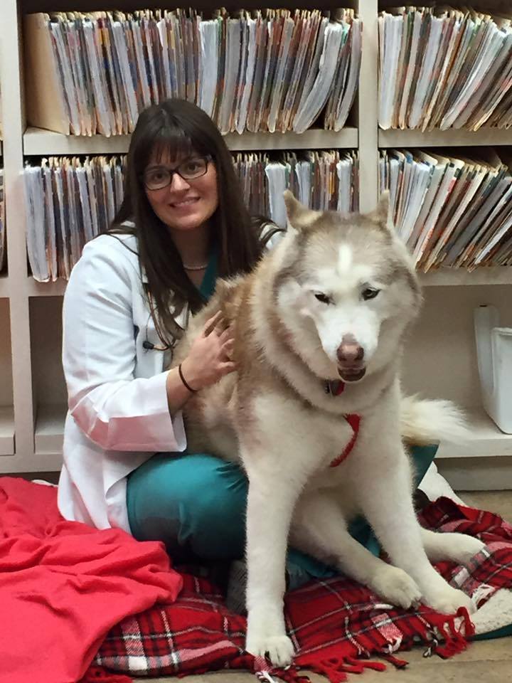 Pet Crossing Animal Hospital & Dental Clinic