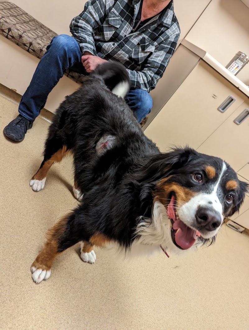 Pet Crossing Animal Hospital & Dental Clinic