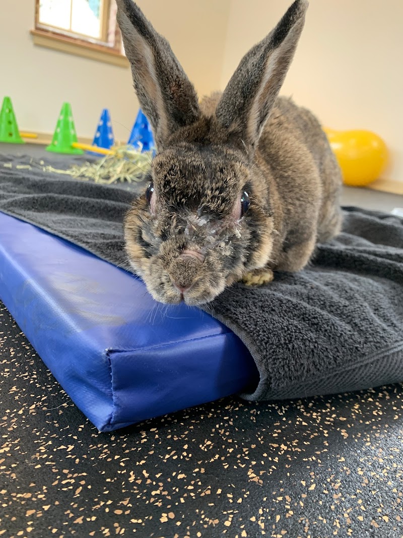 Chestnut Hill Veterinary Hospital