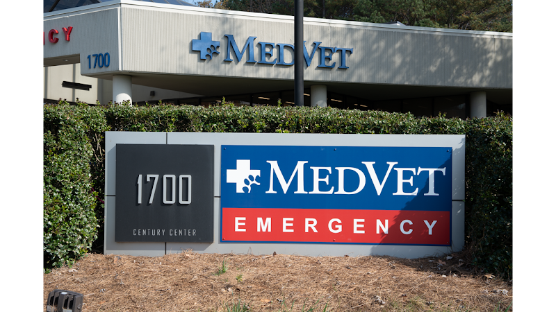 MedVet Atlanta - Atlanta