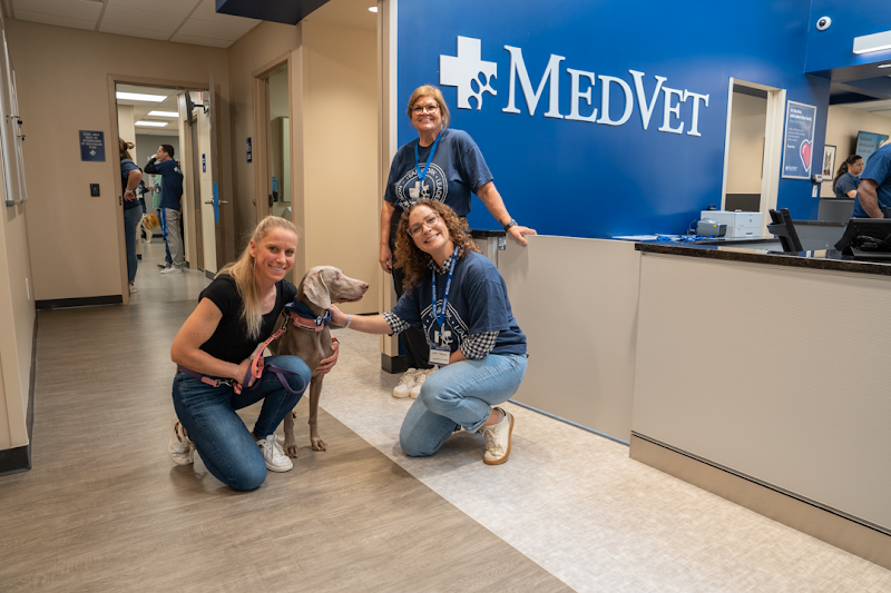 MedVet Atlanta