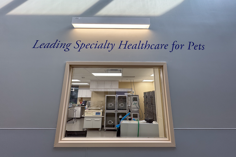 MedVet Atlanta