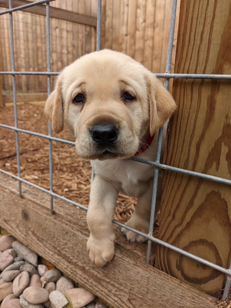 Stone Oak Veterinary Clinic
