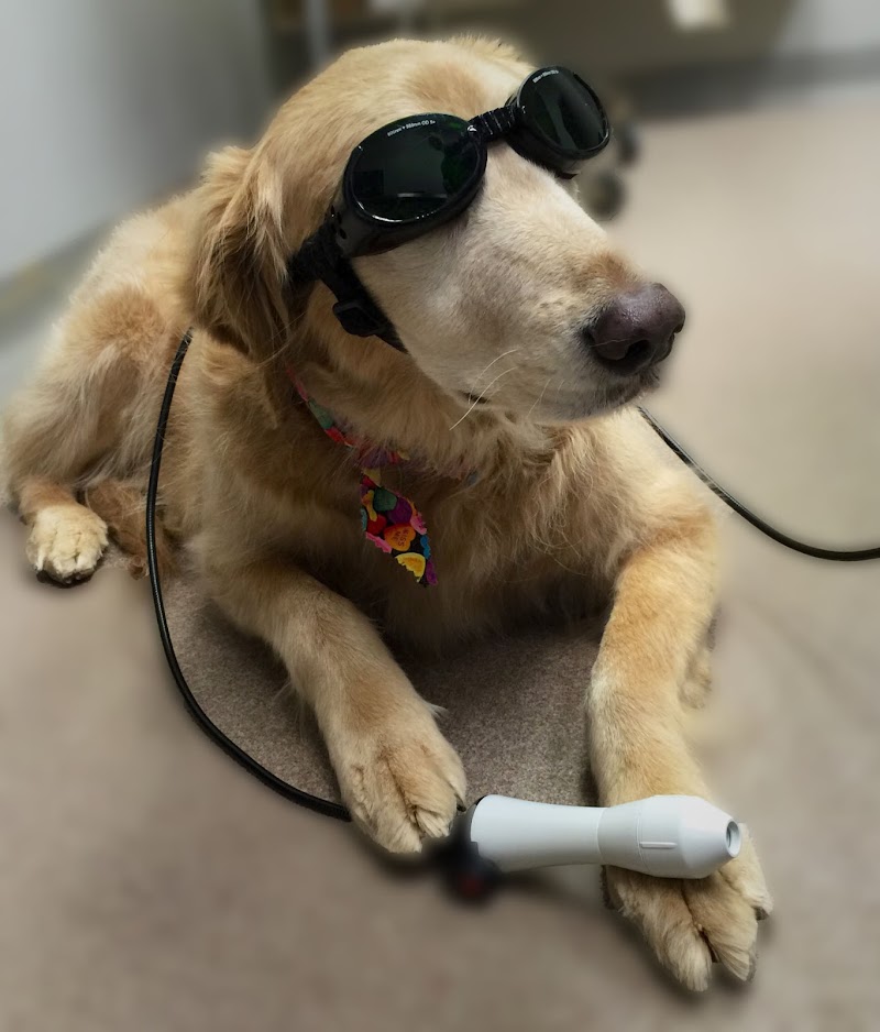 Stone Oak Veterinary Clinic