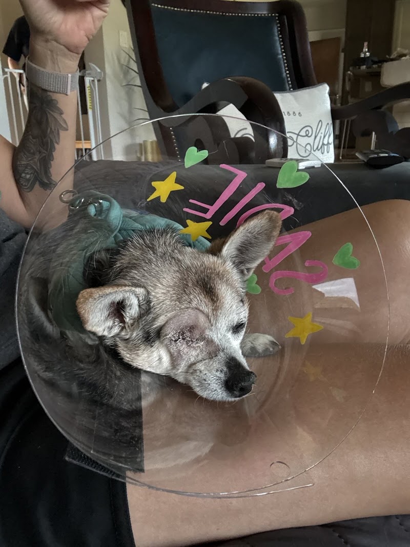 BluePearl Pet Hospital