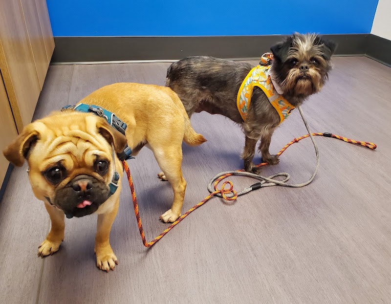 Nelson Animal Hospital