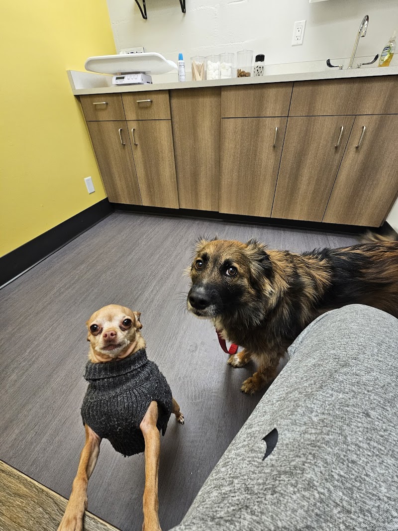 Nelson Animal Hospital
