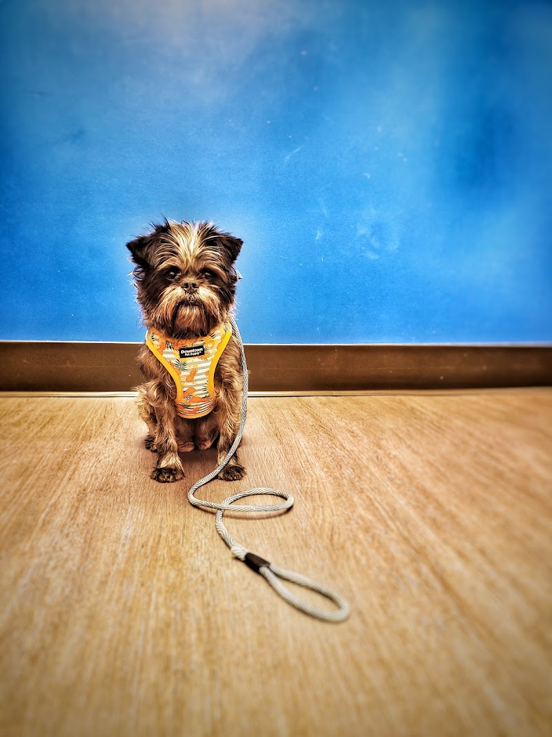 Nelson Animal Hospital