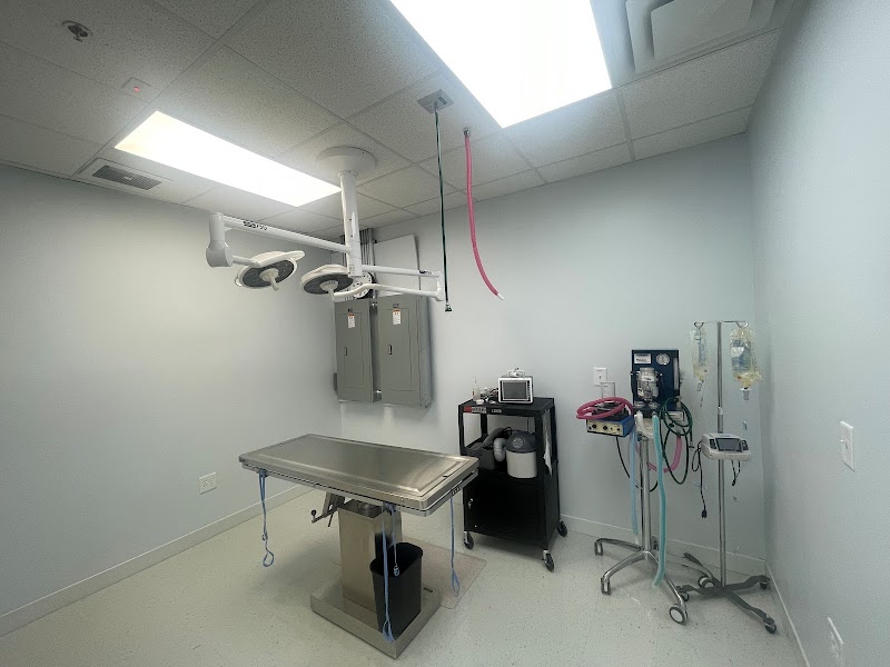 Intown Animal Hospital Midtown