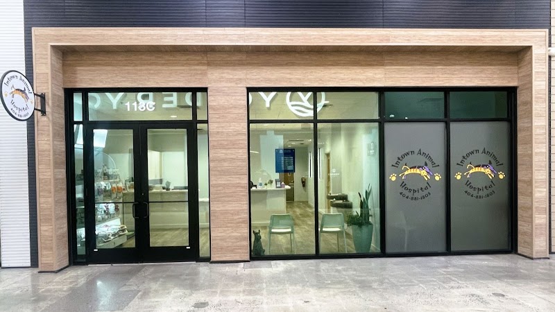 Intown Animal Hospital Midtown - Atlanta