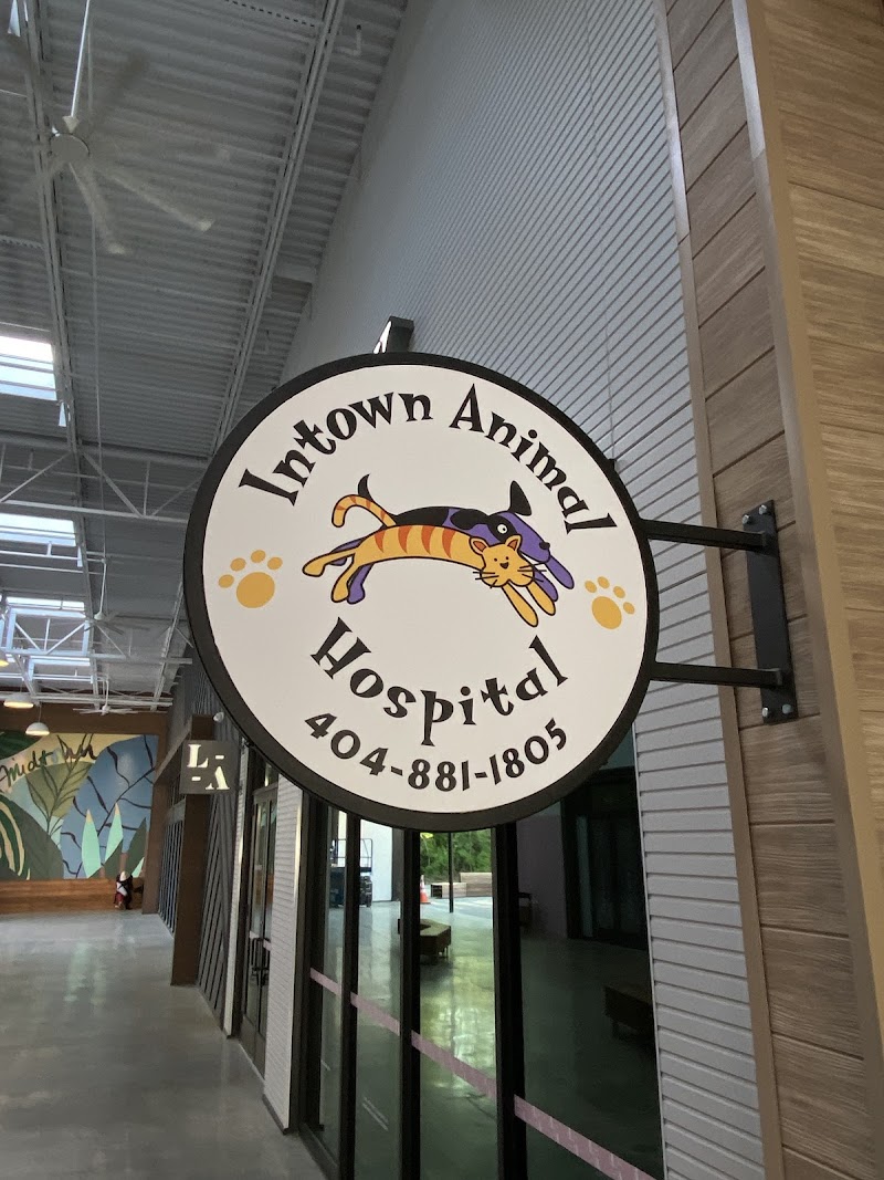 Intown Animal Hospital Midtown