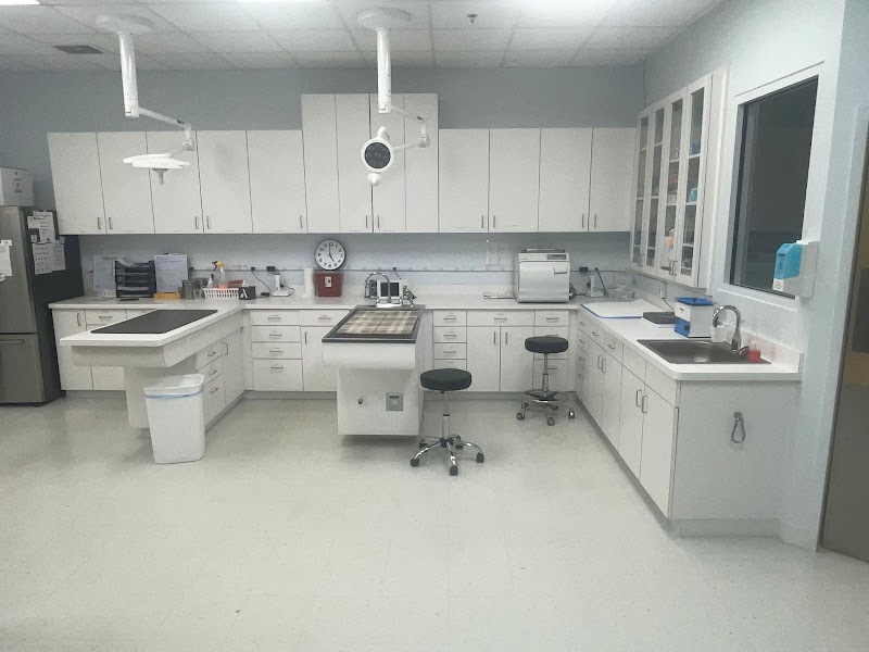 Intown Animal Hospital Midtown