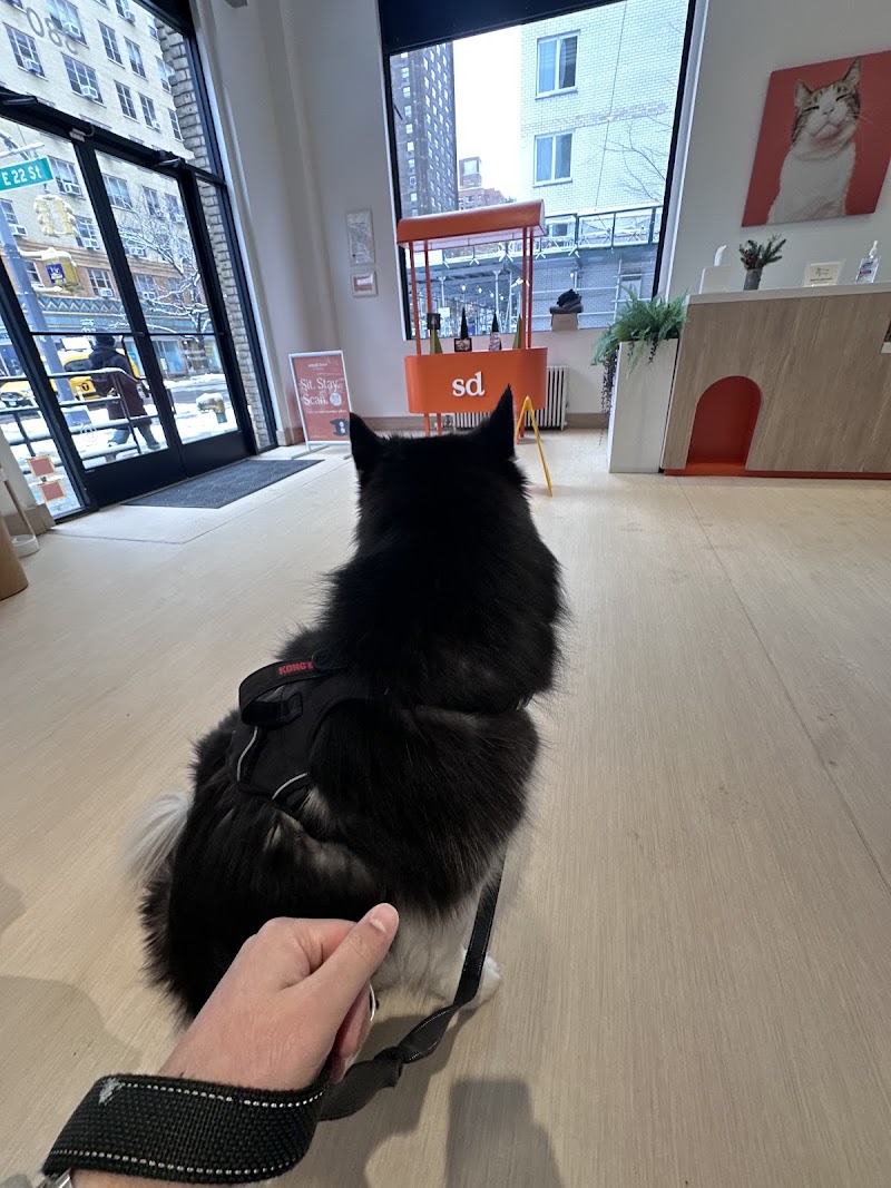 Small Door Veterinary - Gramercy