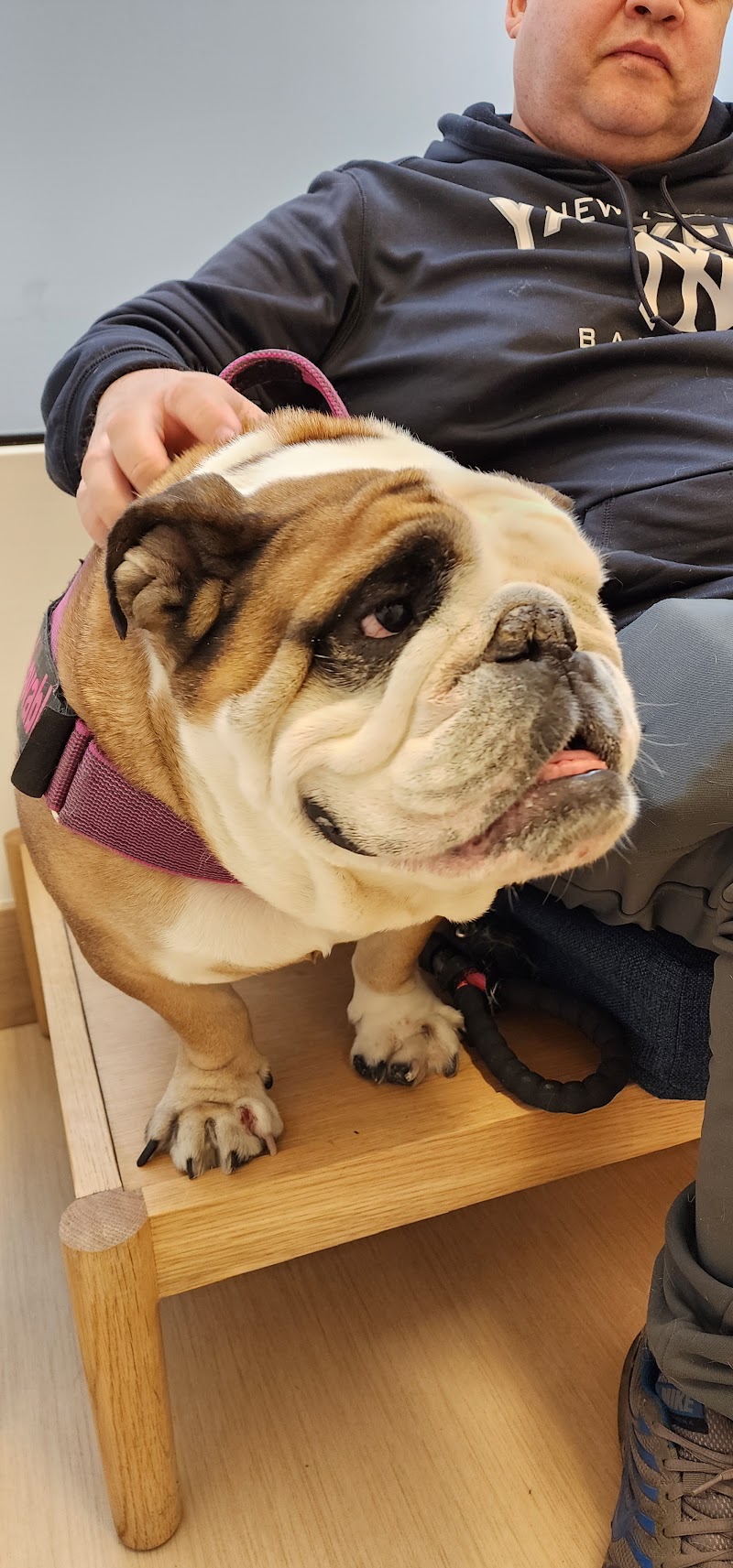 Small Door Veterinary - Gramercy