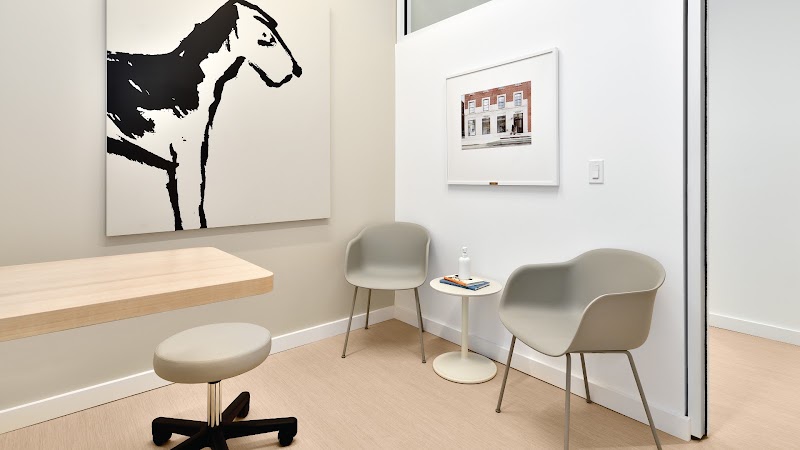 Small Door Veterinary - Gramercy
