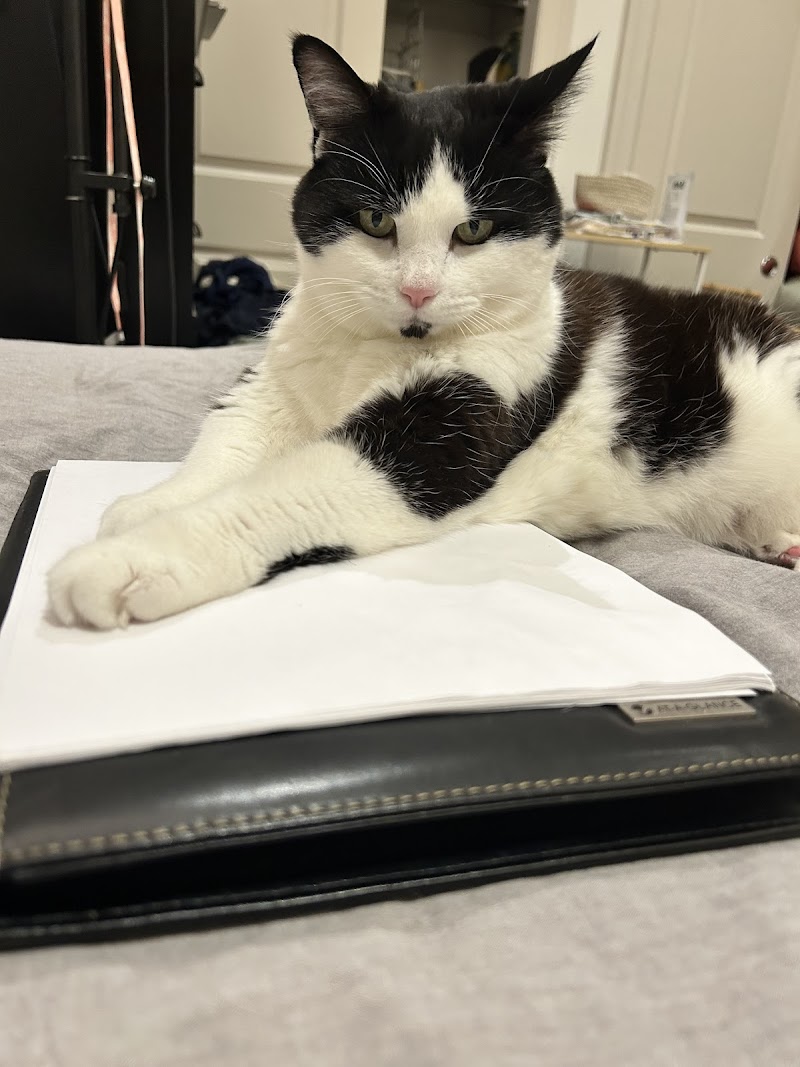 Small Door Veterinary - Gramercy