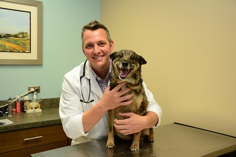 North Center Animal Hospital, A Thrive Pet Healthcare Partner
