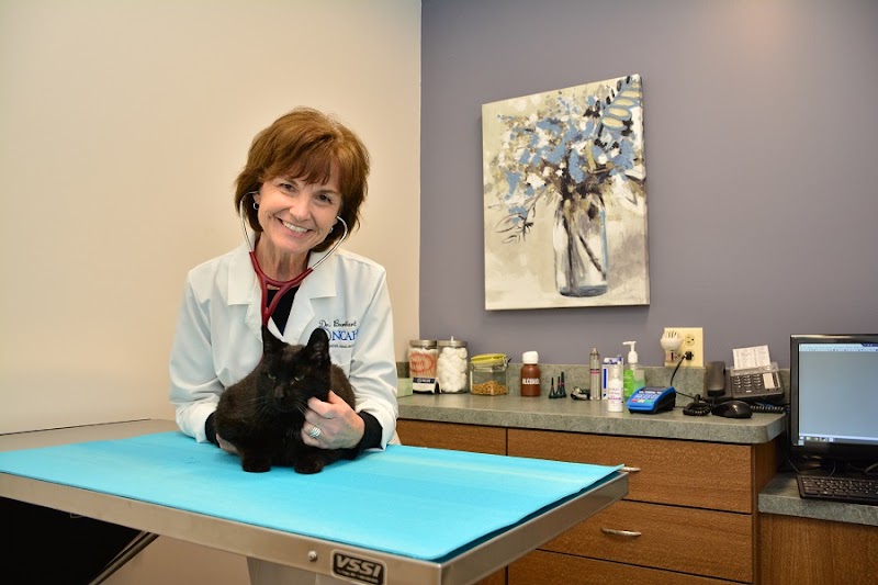 North Center Animal Hospital, A Thrive Pet Healthcare Partner