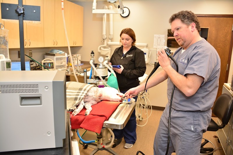 North Center Animal Hospital, A Thrive Pet Healthcare Partner