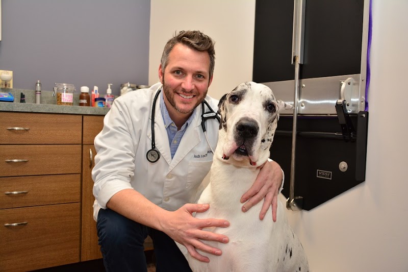 North Center Animal Hospital, A Thrive Pet Healthcare Partner
