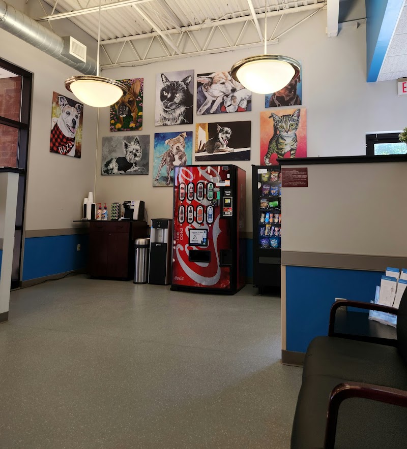 Carolina Veterinary Specialists Charlotte