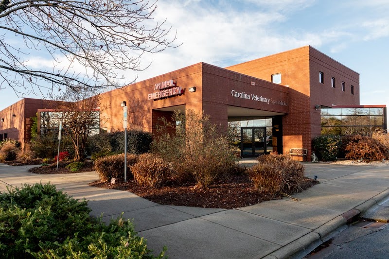 Carolina Veterinary Specialists Charlotte - Charlotte