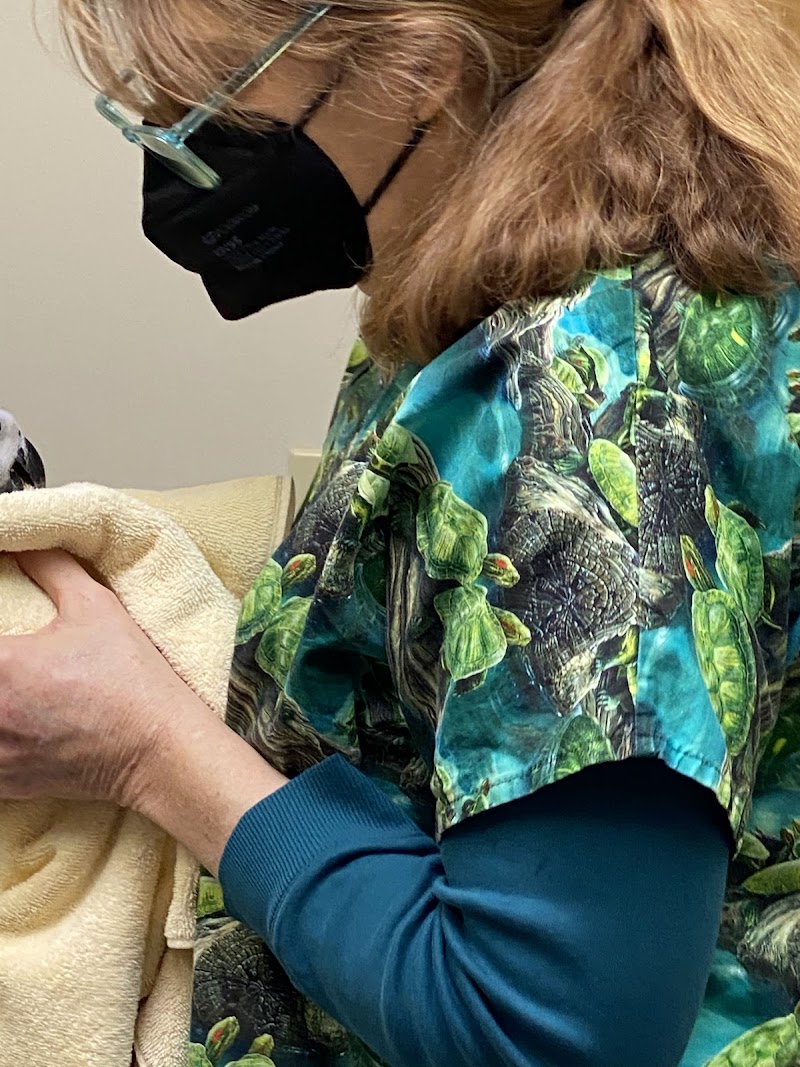 Bird & Exotic Clinic of Seattle