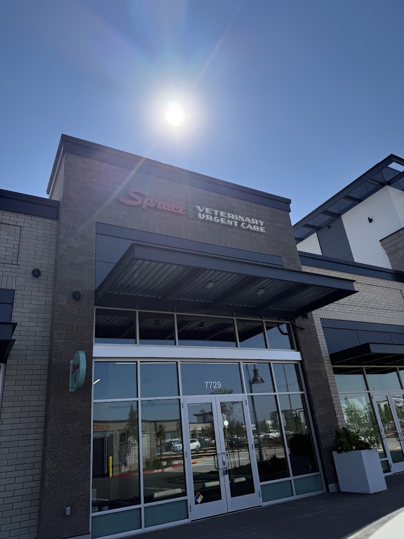 Spruce Veterinary Urgent Care