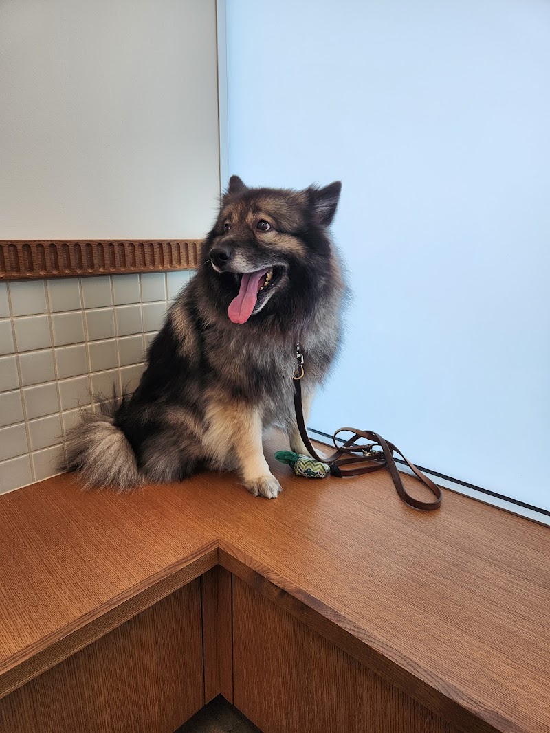 Spruce Veterinary Urgent Care