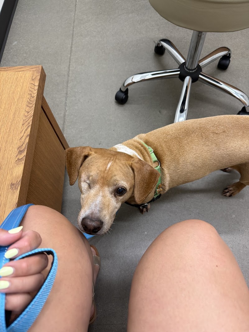 Spruce Veterinary Urgent Care