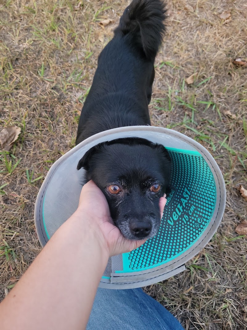 Westheimer Animal Clinic