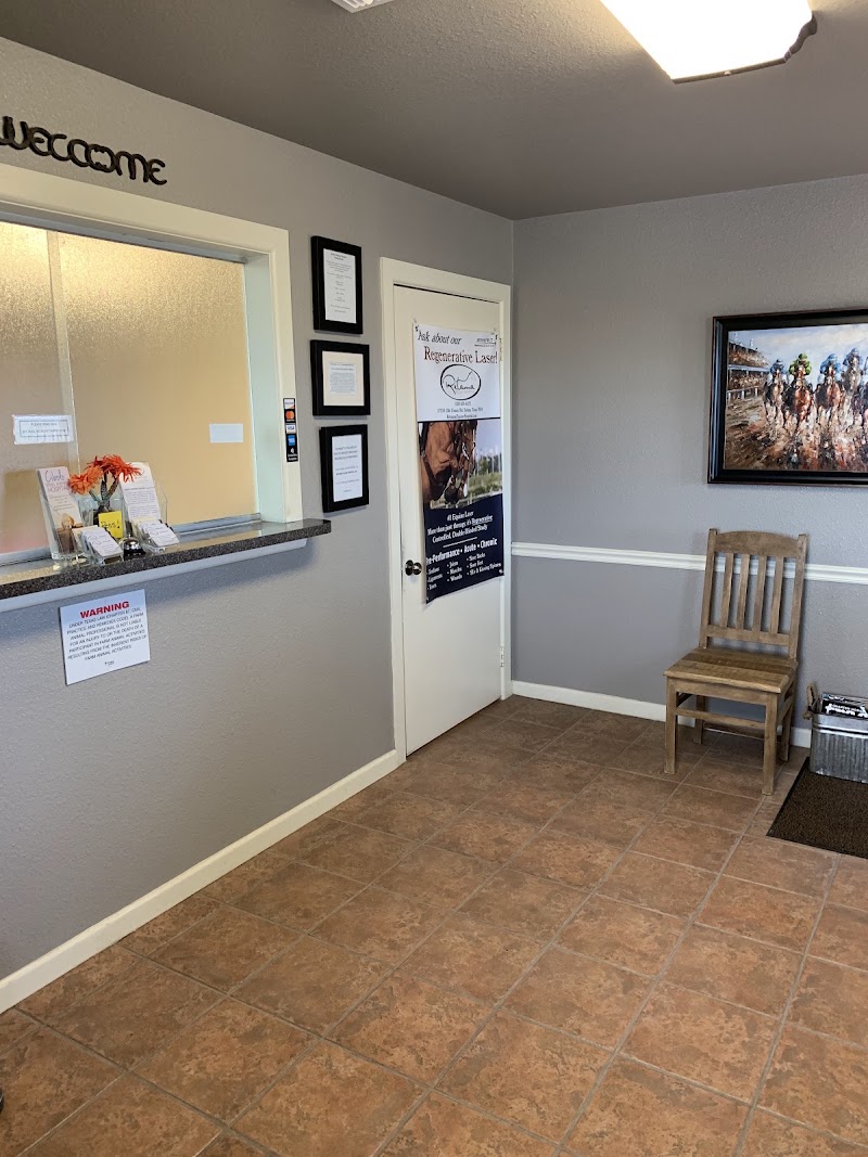 San Antonio Equine Hospital