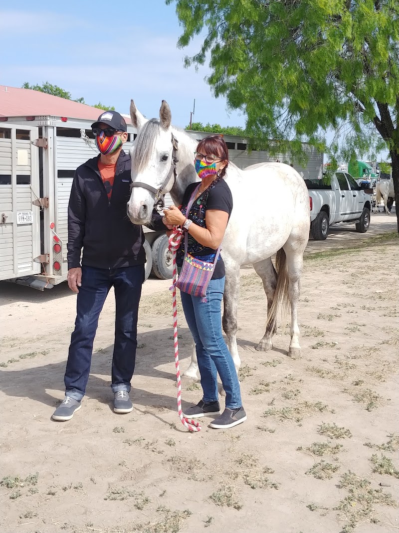 San Antonio Equine Hospital