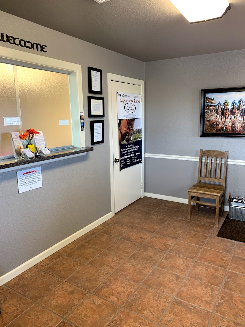 San Antonio Equine Hospital