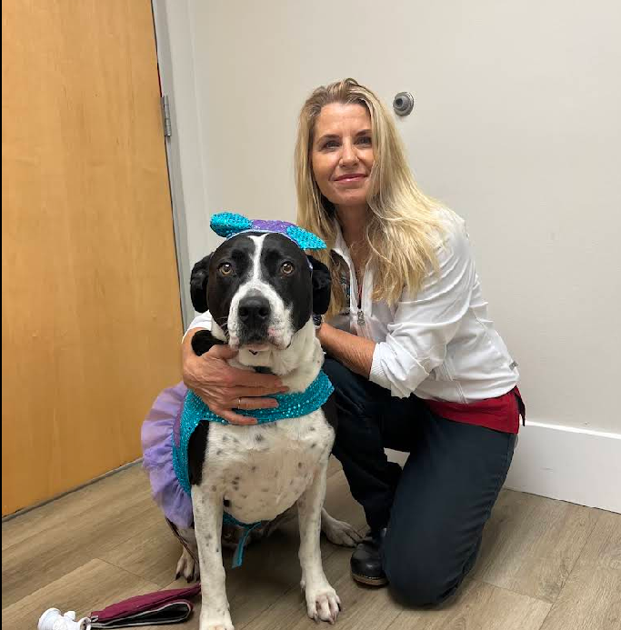 Reed Animal Hospital