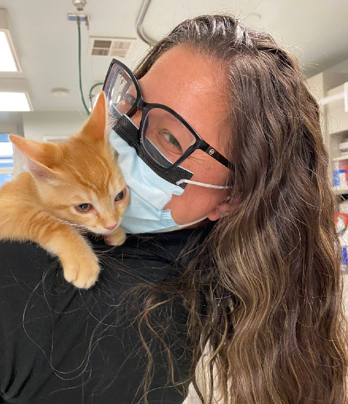 Reed Animal Hospital