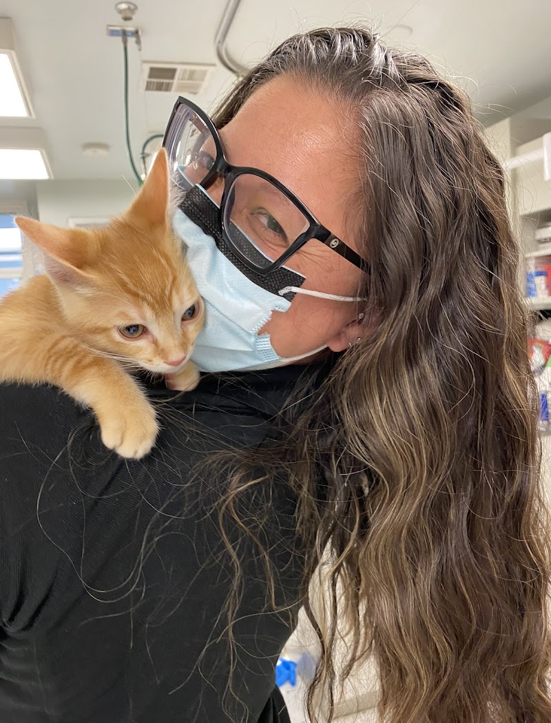 Reed Animal Hospital