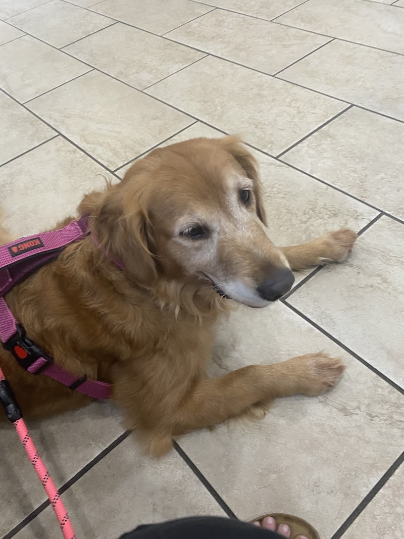 St. Francis Veterinary Hospital