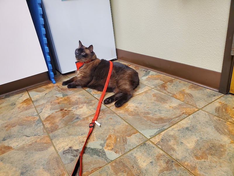North Plains Veterinary Clinic