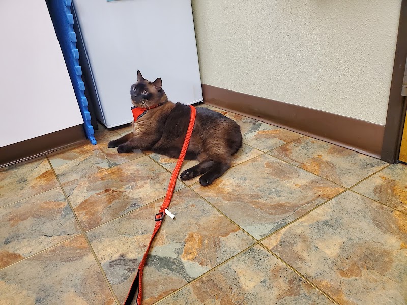 North Plains Veterinary Clinic