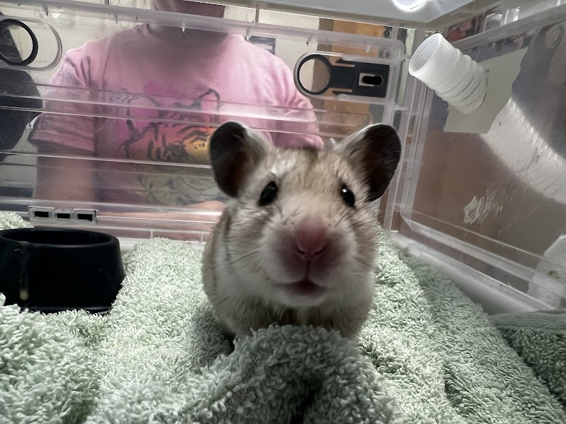 Center for Bird and Exotic Animal Medicine