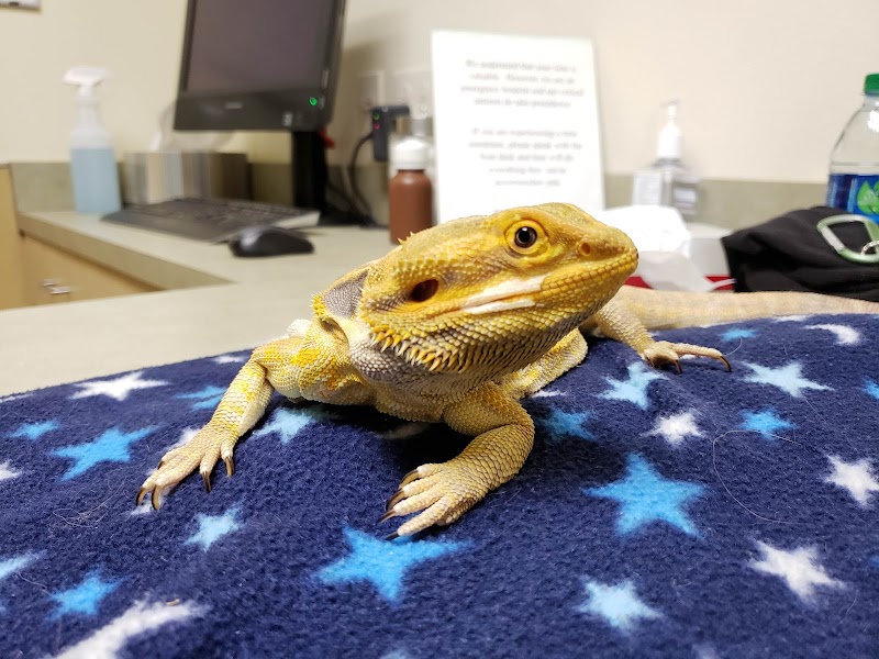 Center for Bird and Exotic Animal Medicine