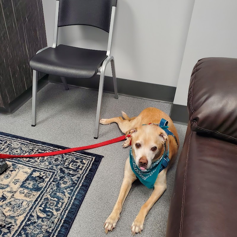 Soderstrom Veterinary