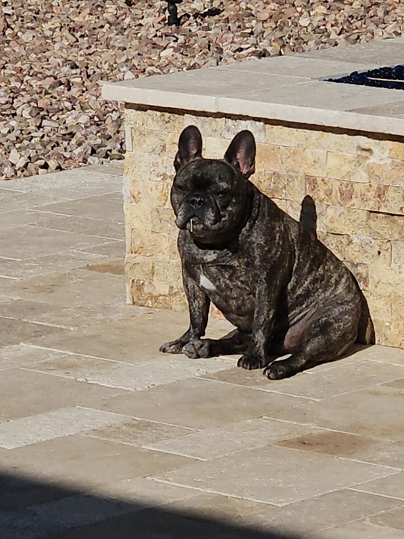Soderstrom Veterinary