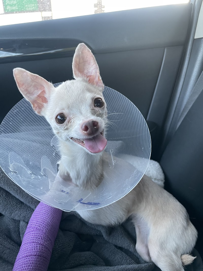 Soderstrom Veterinary - Phoenix