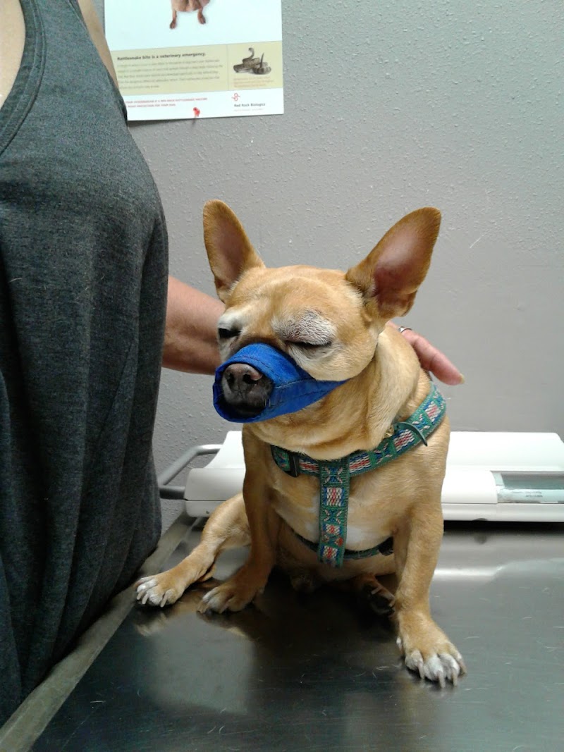 Ambassador Dog & Cat Hospital