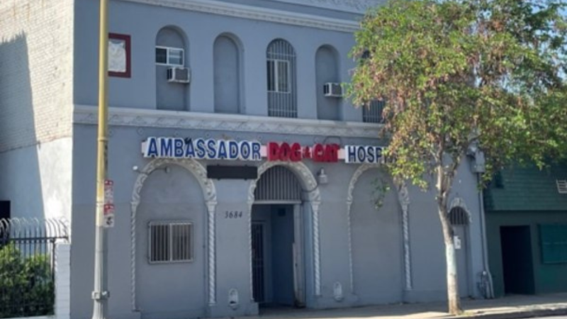 Ambassador Dog & Cat Hospital